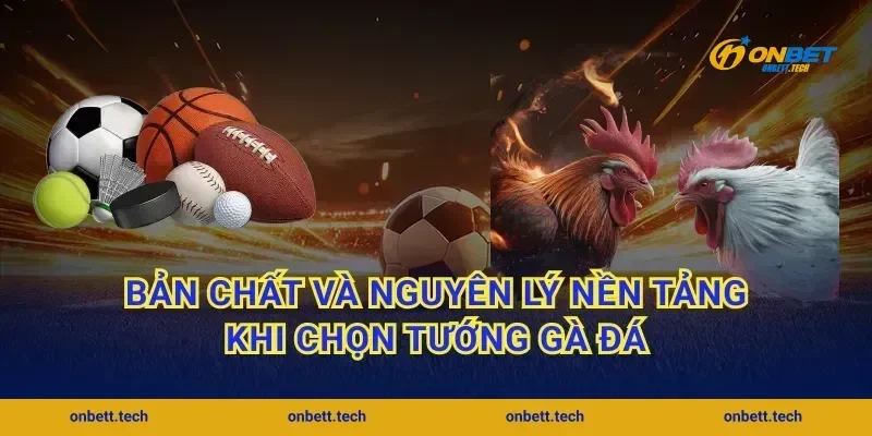 Bản chất và nguyên lý nền tảng khi chọn tướng gà đá