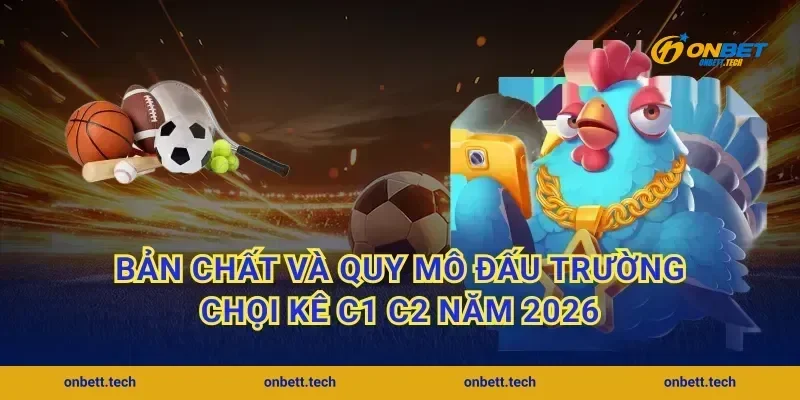 Bản chất và quy mô đấu trường chọi kê C1 C2 năm 2026