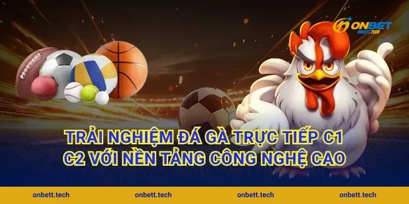 Trải nghiệm đá gà trực tiếp C1 C2 với nền tảng công nghệ cao